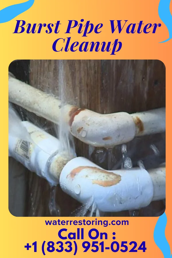 Burst Pipe Water Cleanup in Starbrick, PA