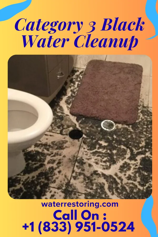 Category 3 Black Water Cleanup in Starbrick, PA