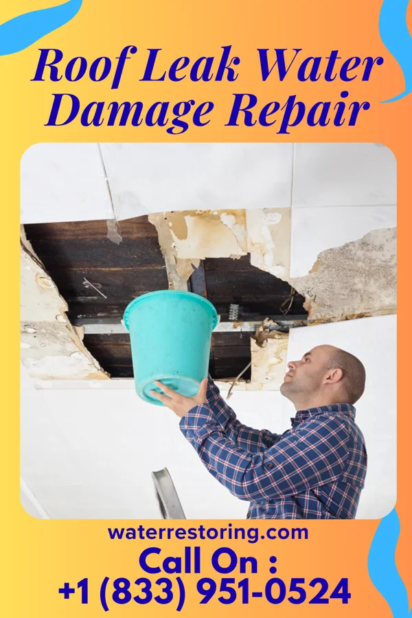 Roof Leak Water Damage Repair in Starbrick, PA
