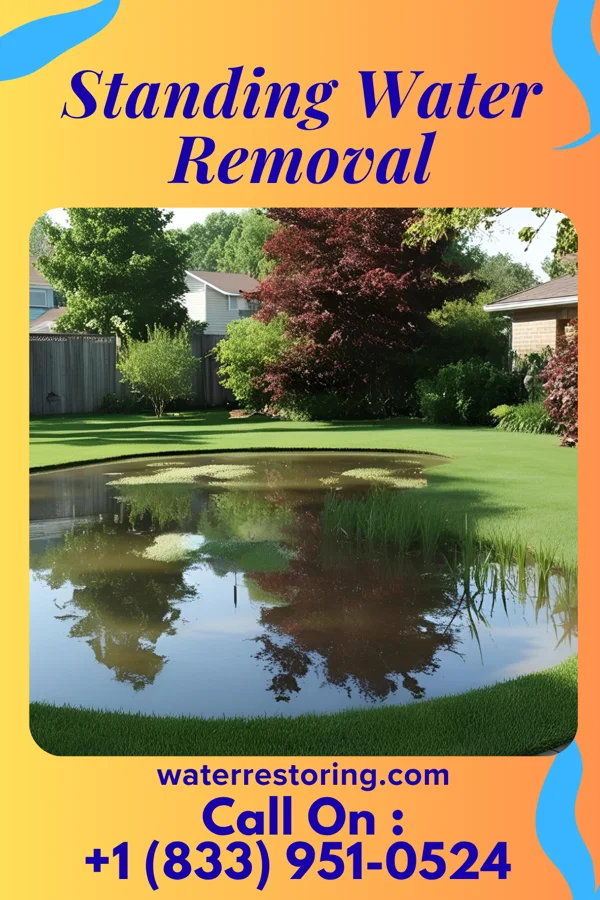 Standing Water Removal in Starbrick, PA